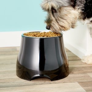 Dog Bowls and Feeders